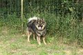filou 20 (10)